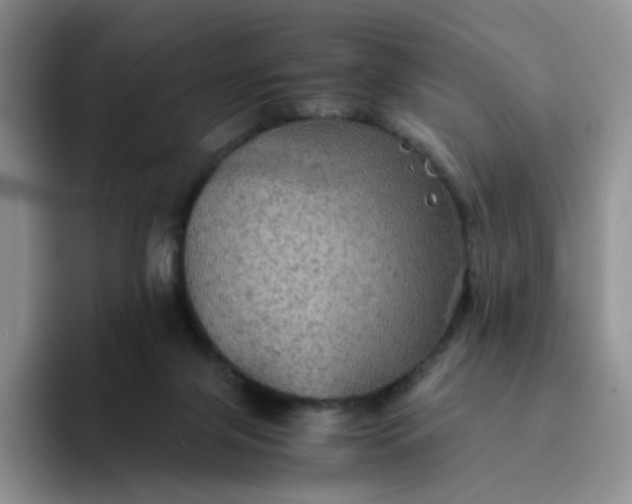 X0000094220071200711091303