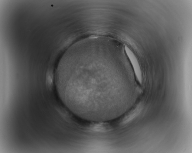 X0000094220072200711091303