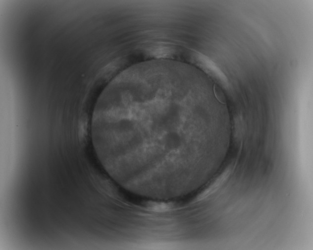 X0000094220073200711091303