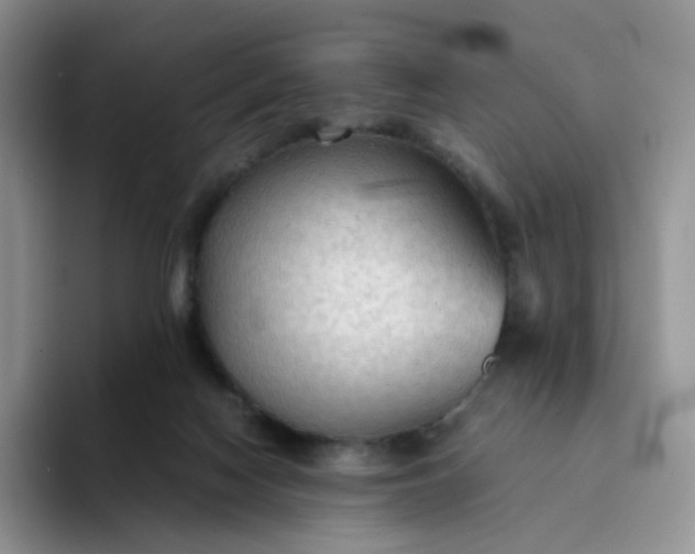 X0000094220074200711091303