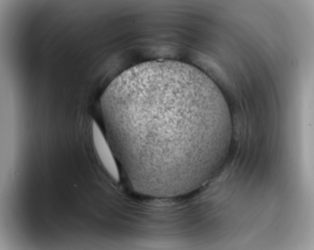 X0000094220077200711091304