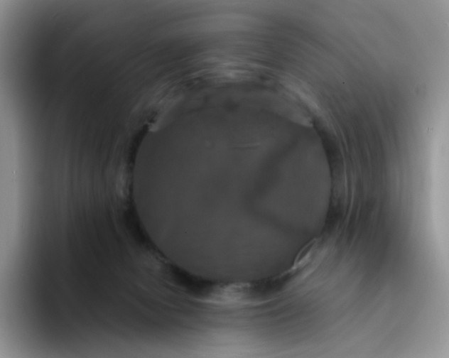 X0000094220078200711091304