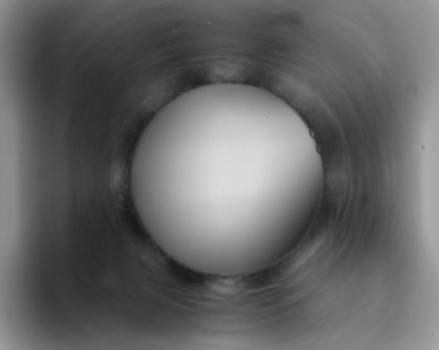 X0000094220079200711091304