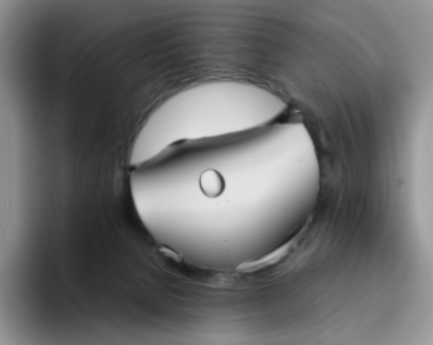 X0000094220080200711091304