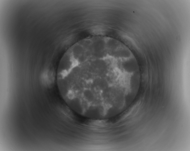 X0000094220081200711091304