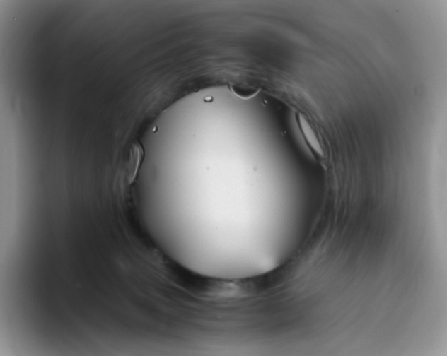 X0000094220083200711091304