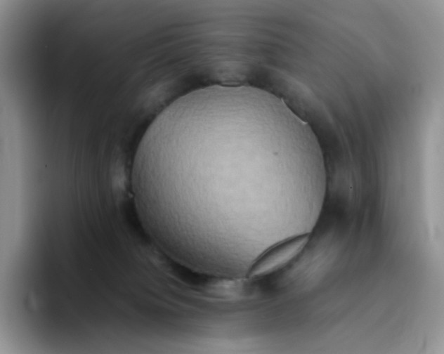 X0000094220084200711091304