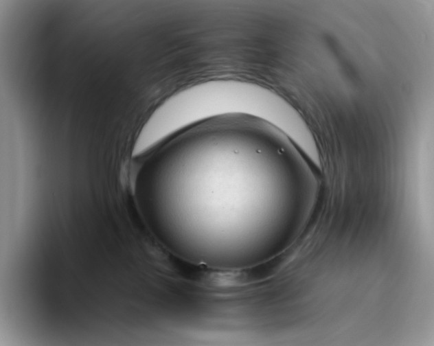 X0000094220089200711091304