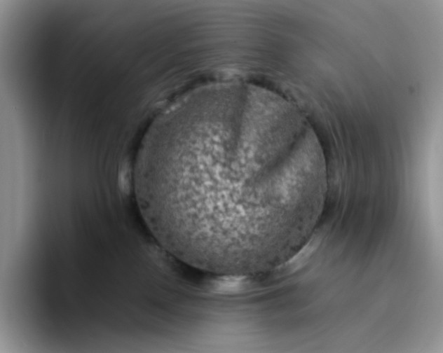 X0000094220090200711091304