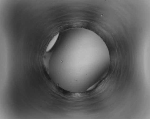 X0000094220091200711091304