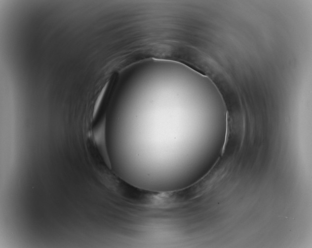 X0000094220092200711091304