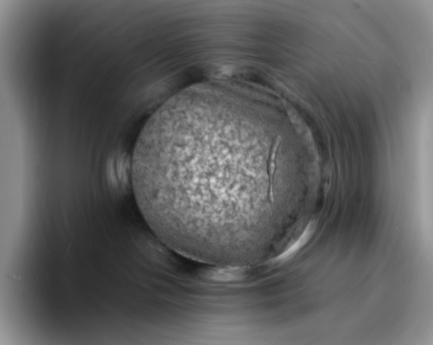 X0000094220094200711091304