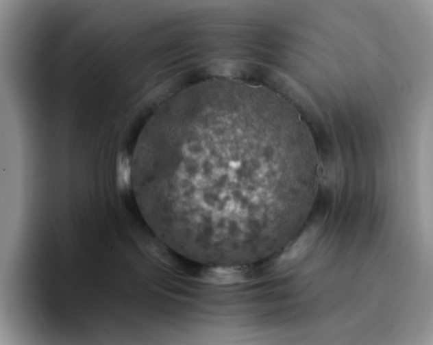 X0000094220095200711091304