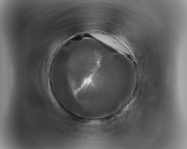 X0000094220097200711091303