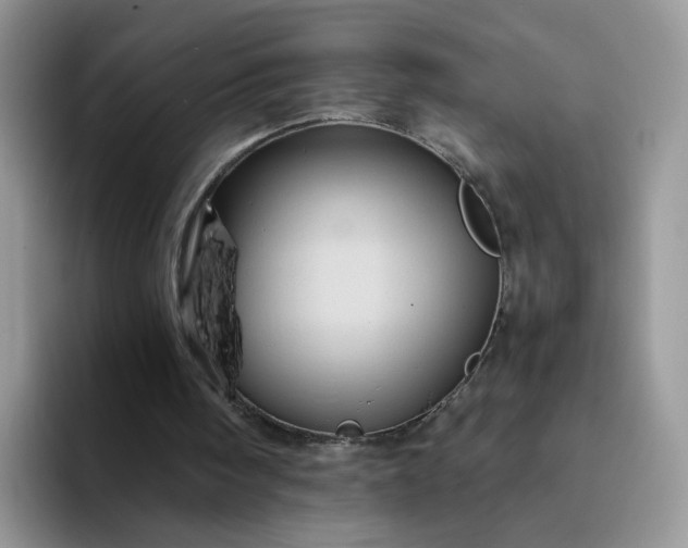 X0000094220098200711091303