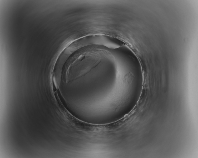 X0000094220099200711091303