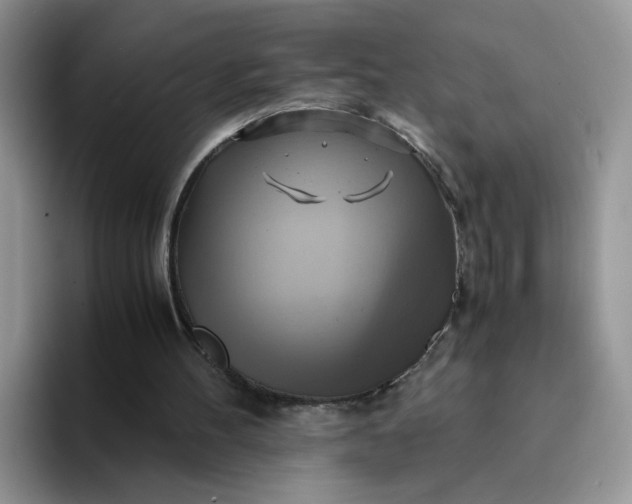 X0000094220100200711091303