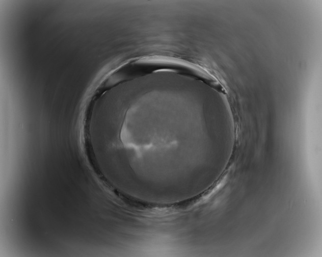 X0000094220101200711091303