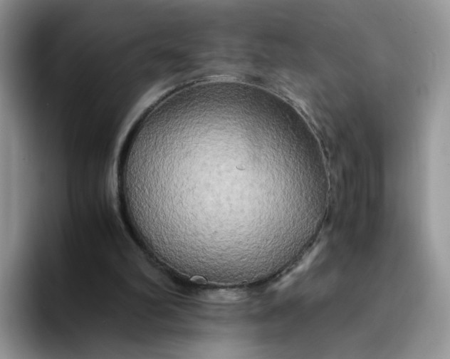 X0000094220102200711091303