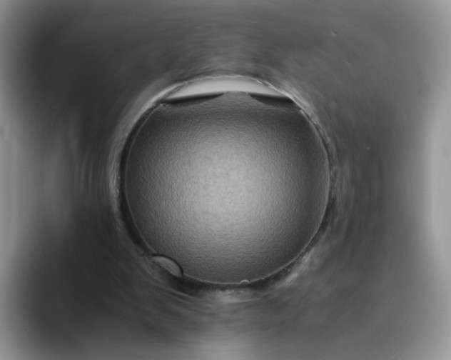 X0000094220103200711091303