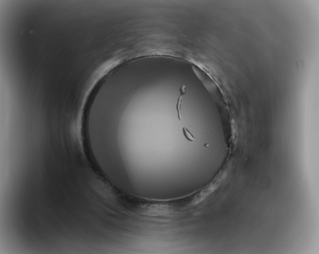 X0000094220104200711091303