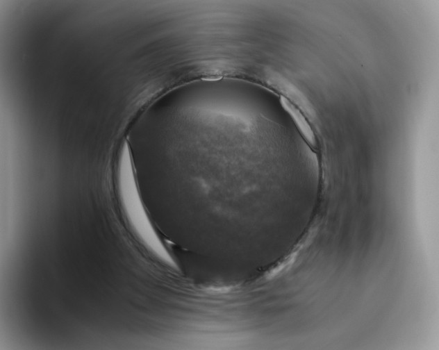 X0000094220105200711091303