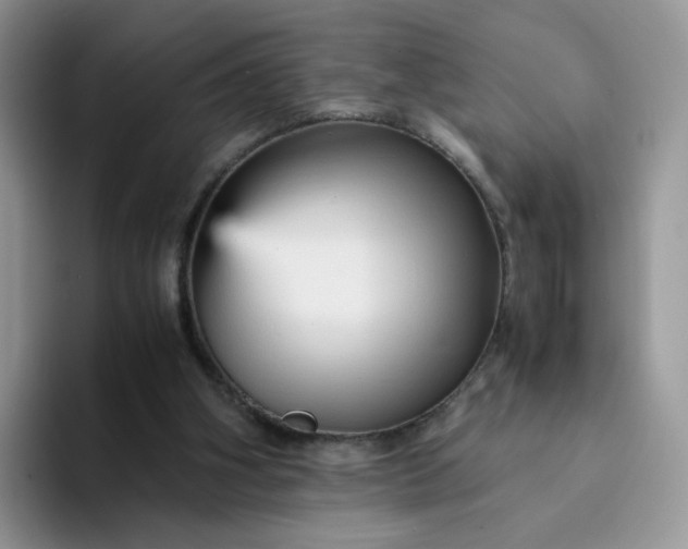 X0000094220106200711091303