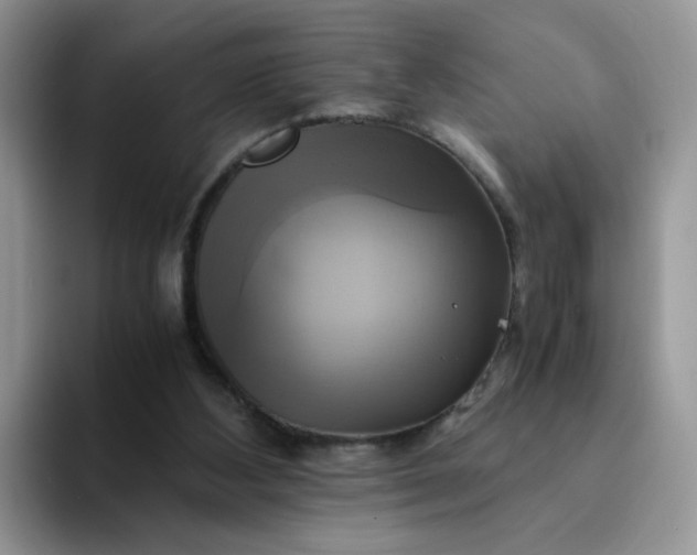 X0000094220108200711091303