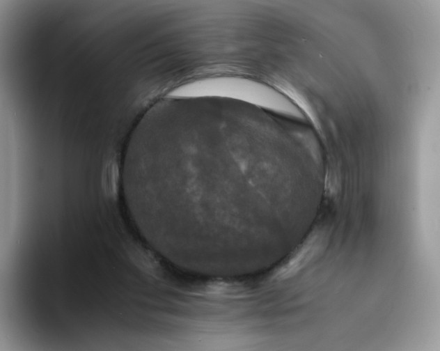 X0000094220109200711091303