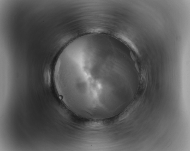 X0000094220110200711091303