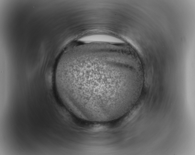 X0000094220111200711091303