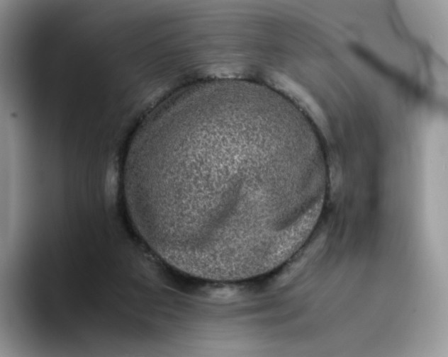 X0000094220113200711091303