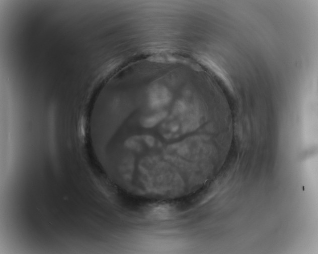 X0000094220115200711091303