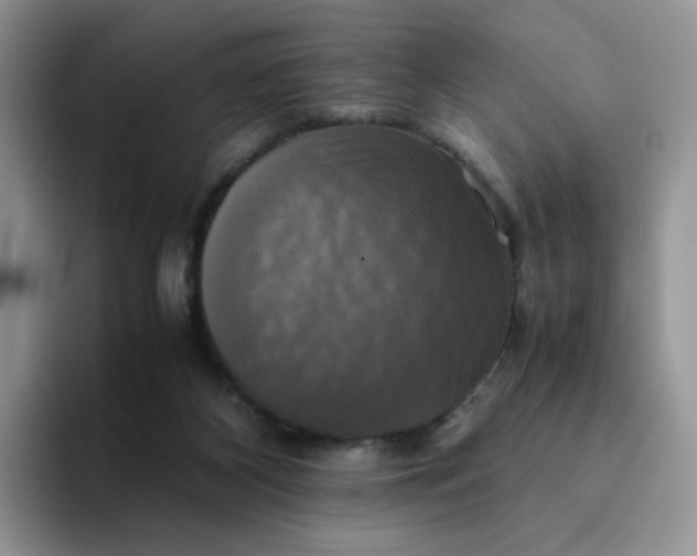 X0000094220116200711091303