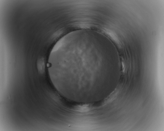 X0000094220120200711091303