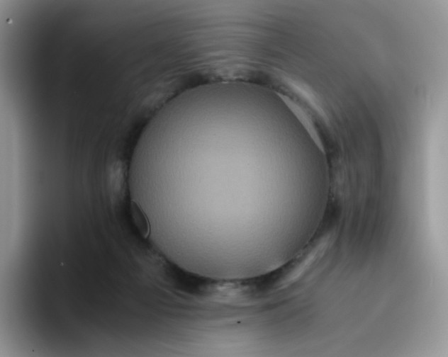 X0000094220121200711091303