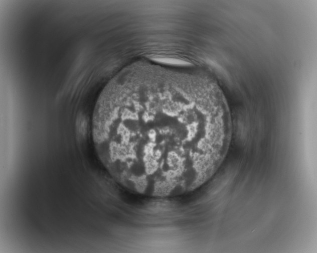 X0000094220123200711091303