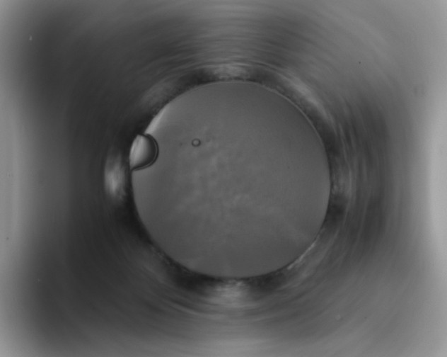 X0000094220124200711091303