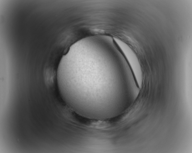 X0000094220125200711091303