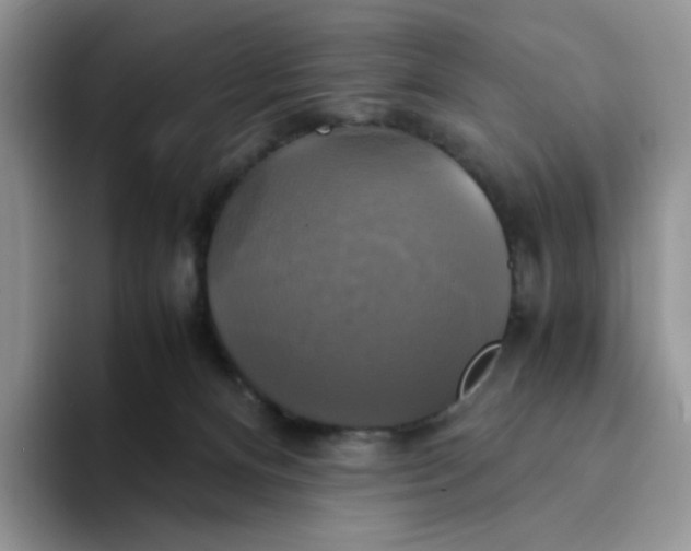 X0000094220128200711091303