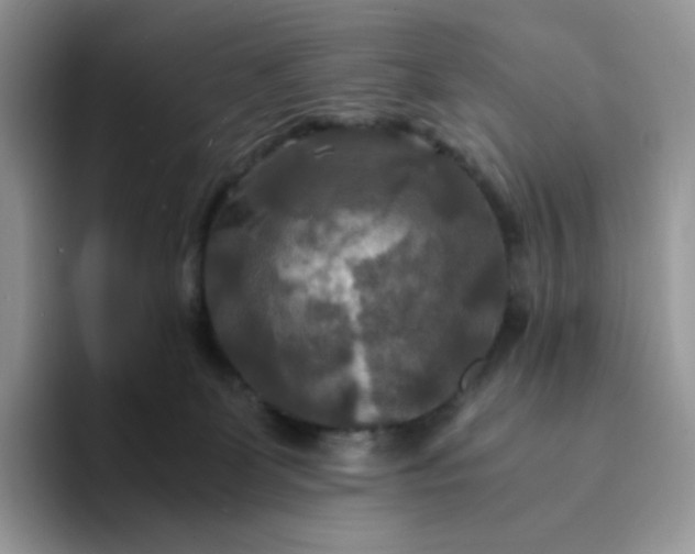 X0000094220131200711091303