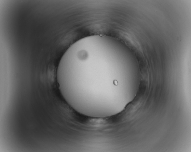 X0000094220133200711091303