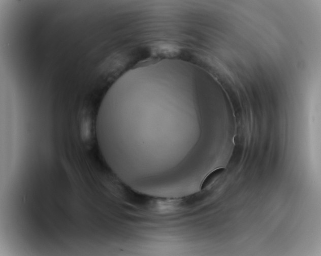 X0000094220134200711091303