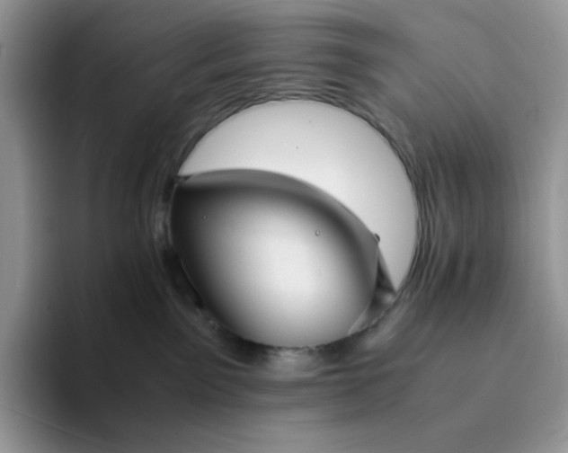 X0000094220141200711091303