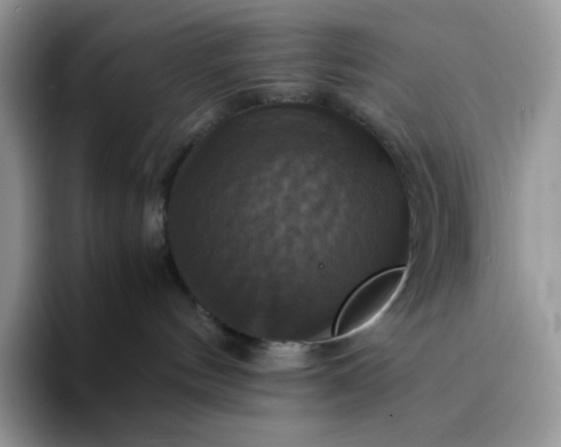 X0000094220144200711091303