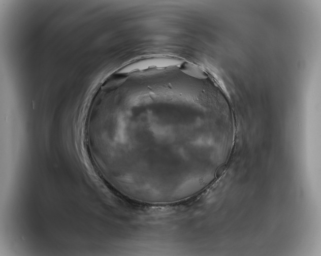 X0000094220145200711091302