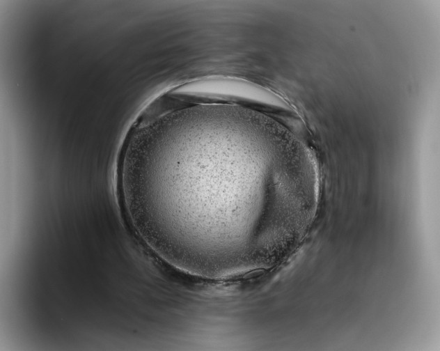 X0000094220148200711091302