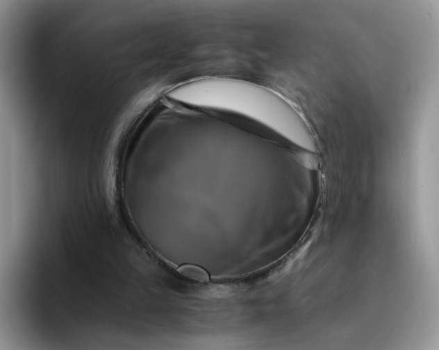 X0000094220149200711091302