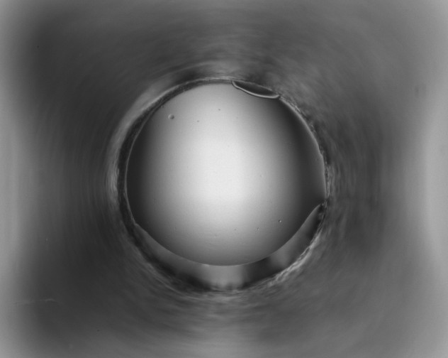 X0000094220150200711091302