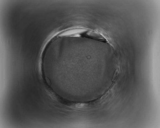 X0000094220152200711091302